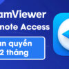Phần mềm Teamviewer Remote Access bản quyền 12 tháng