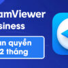 Phần mềm Teamviewer Business bản quyền 12 tháng